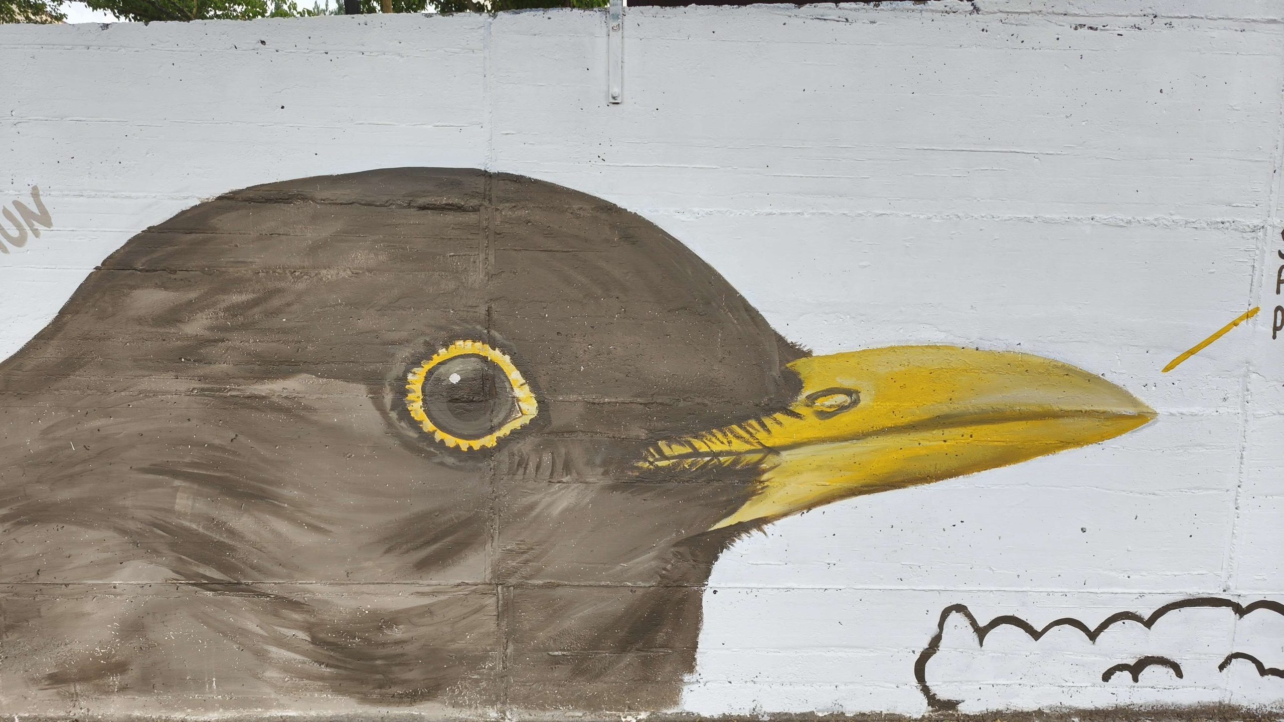 fragmento ave en mural pintada con isaval